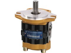 合肥液壓件廠CBHC-F液壓齒輪泵 長源液壓上海代理價格與機電商情網報價解析